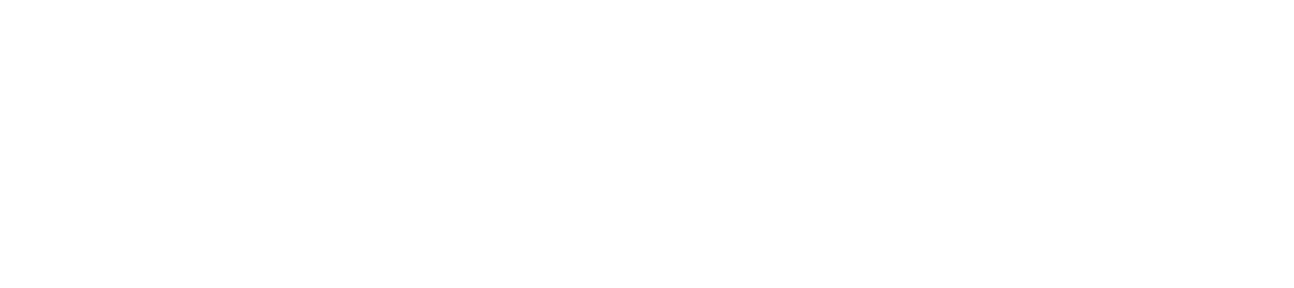 EU Logo